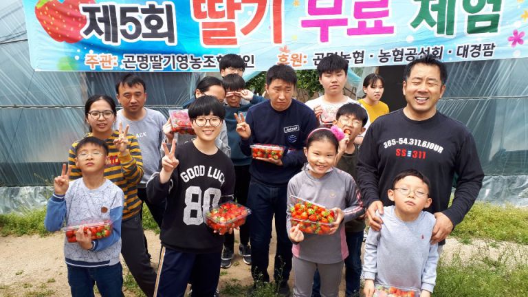 4월 딸기밭 체험 활동및 중식 제공